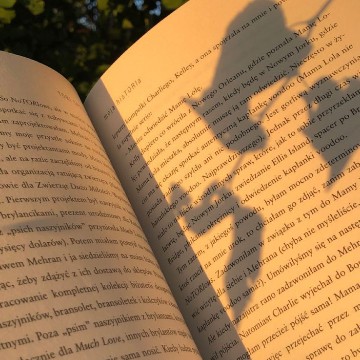 book soft sun