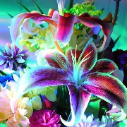 FLOWERSSS