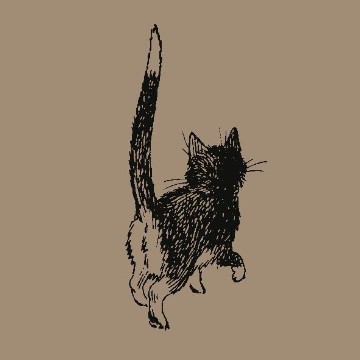 gatos