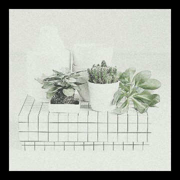aesthetic 