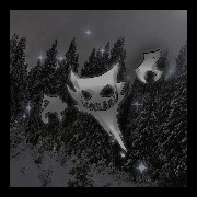 night dragon