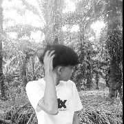 Sandra  Copy