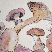 mushroom drawing