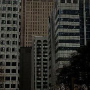 new York