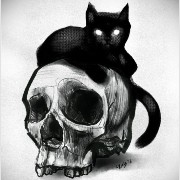 black cat with skull 
