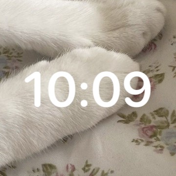 cat clock