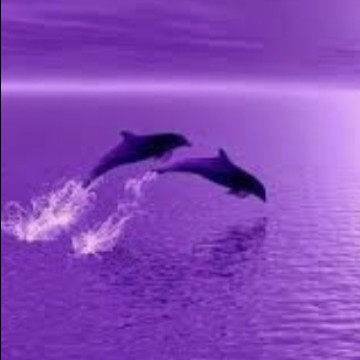 purple