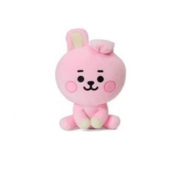 cooky 