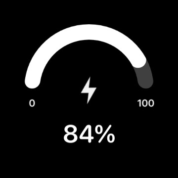Battery level B&W