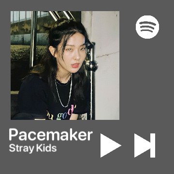 seulgi spotify skz