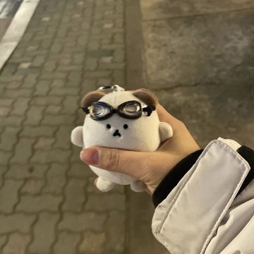 kiyo bear
