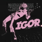IGOR
