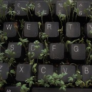 old keyboard Copy