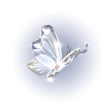 blue butterfly
