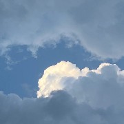 blue widget