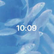 Fish blue