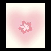 cute flower