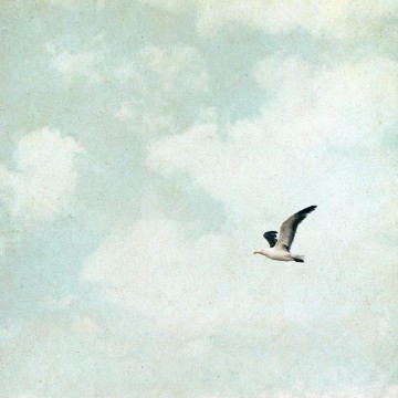 vintage seagulls