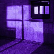 dark purple aesthetic