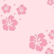 cute hawaii Hibiskus flower