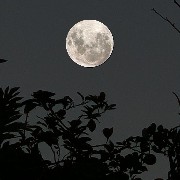 Moon 