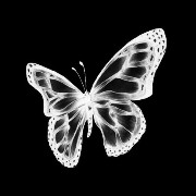 y2k butterfly widget