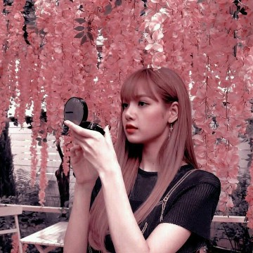 Lisa widget 