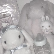 white teddy