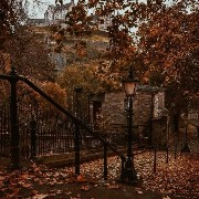 autumn widget  short1