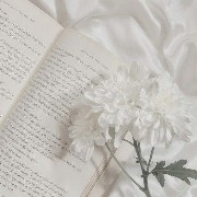 Aesthetic