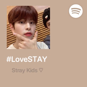 stray kids spotify.