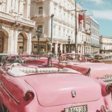 pink widget