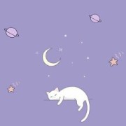 purple widget