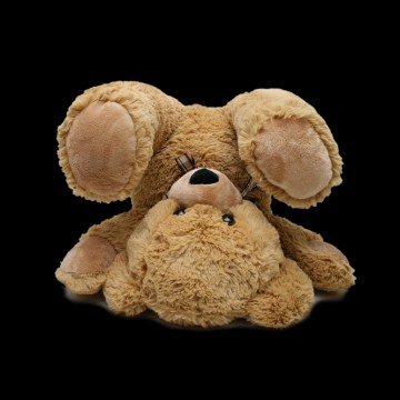 teddy bear 