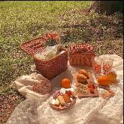 Warmcore Picnic