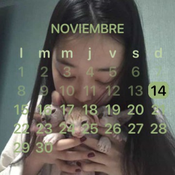 sulli calendar 
