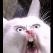 you