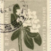 stamp