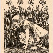 picking daisies