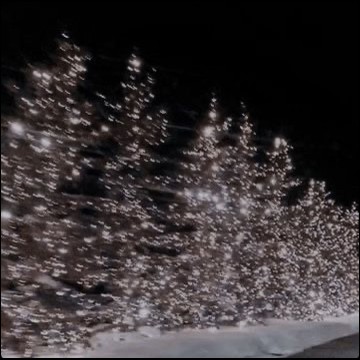 white glowing snow white trees
