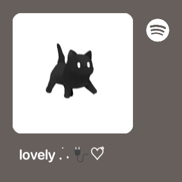 spotify widget