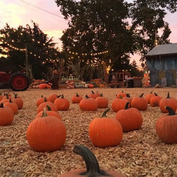fall aesthetic 