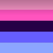 omnisexual pride flag 