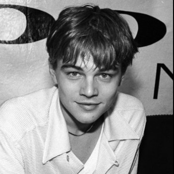 leonardo dicaprio widgets 