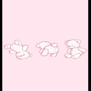 bear 