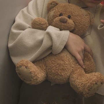 bear photo