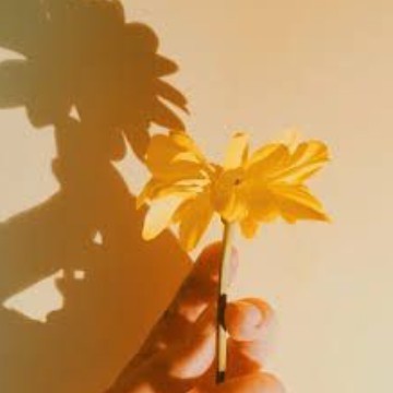 yellow widget 