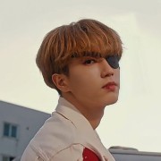 stray kids