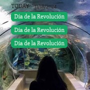 Calendar greenblue