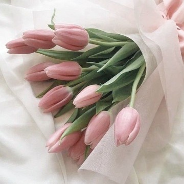 Tulip Bouquet 